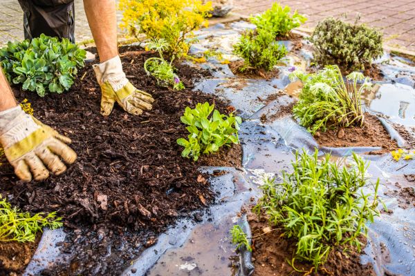 Mulch Fabric Installation in Grand Rapids