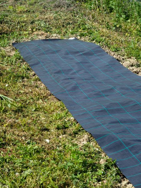 Weed Suppressant Installation in Grand Rapids