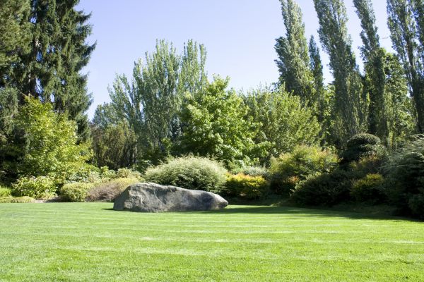 Yard Enlargement in Grand Rapids