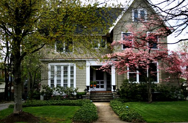 Ornamental Tree Planting in Grand Rapids