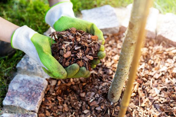 Tree Bark Delivery in Grand Rapids