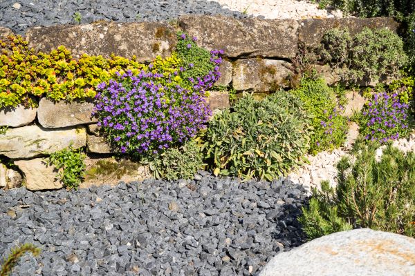 Landscaping Rocks Installation in Grand Rapids