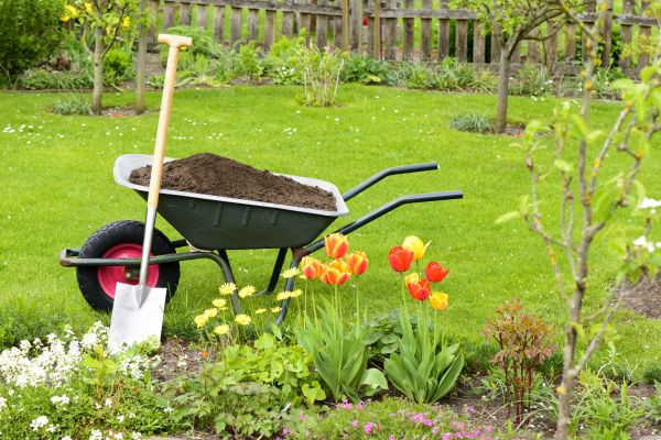 Spring Yard Renovation in Grand Rapids