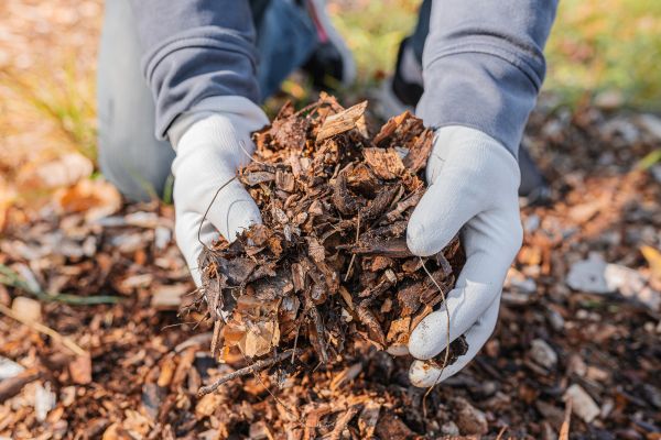 Shredded Mulch Installation in Grand Rapids
