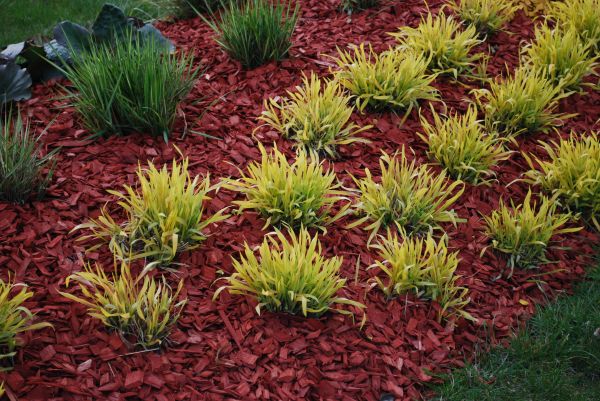 Red Mulch Installation in Grand Rapids