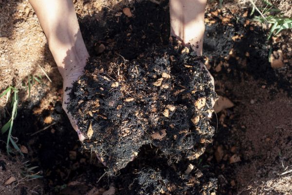 Organic Mulch Installation in Grand Rapids