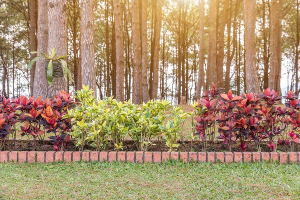 Small Garden Landscaping in Grand Rapids