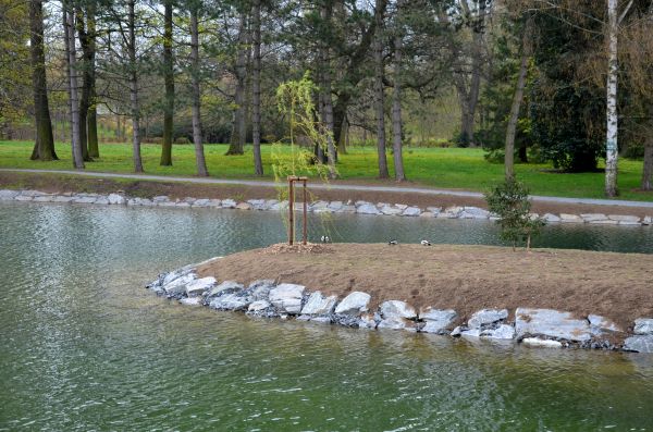Pond Landscaping Service in Grand Rapids