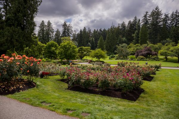 Flower Garden Landscaping in Grand Rapids