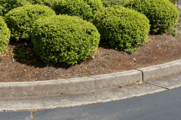 Pine Mulch Installation in Grand Rapids