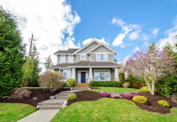 Landscaping Replacement in Grand Rapids