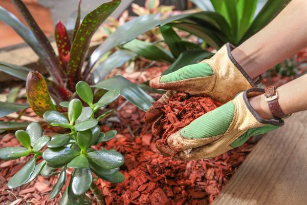 Cedar Mulch Installation in Grand Rapids