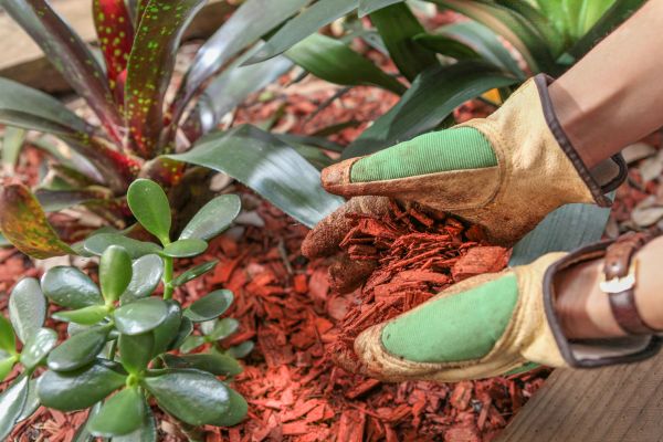 Residential Mulching in Grand Rapids