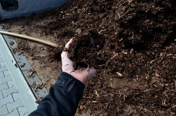 Condo Mulching in Grand Rapids