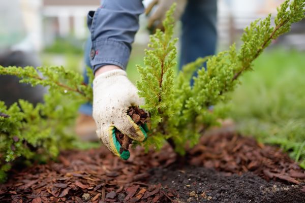 Church Mulching in Grand Rapids