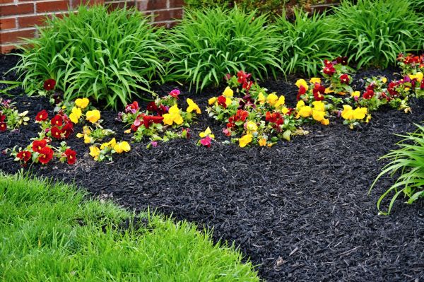 Apartment Mulching in Grand Rapids